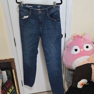 LOFT Women's Deep Indigo Skinny Jeans